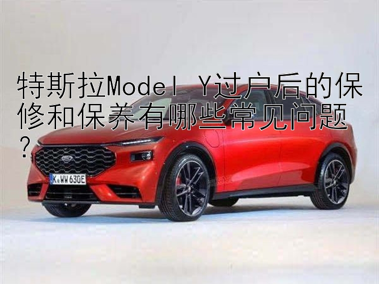 特斯拉Model Y过户后的保修和保养有哪些常见问题？