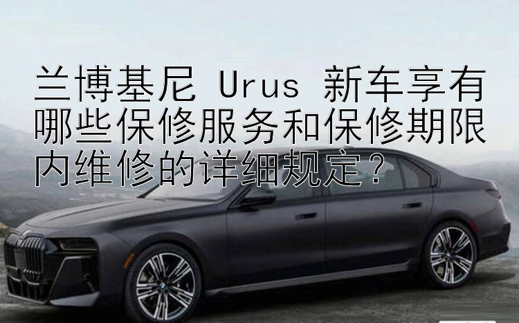 兰博基尼 Urus 新车享有哪些保修服务和保修期限内维修的详细规定？