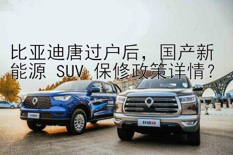 比亚迪唐过户后，国产新能源 SUV 保修政策详情？