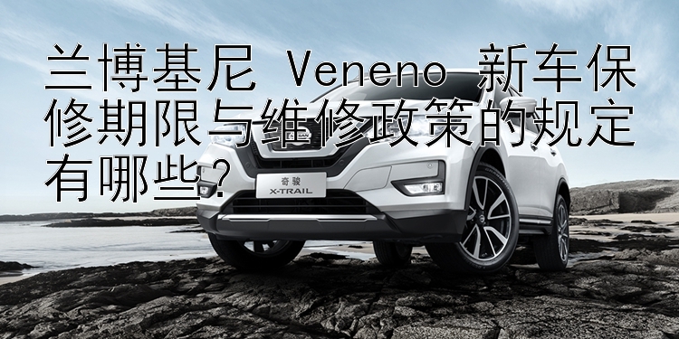 兰博基尼 Veneno 新车保修期限与维修政策的规定有哪些？