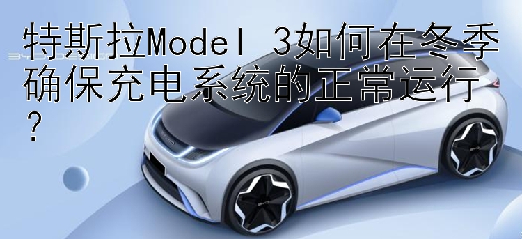 特斯拉Model 3如何在冬季确保充电系统的正常运行？