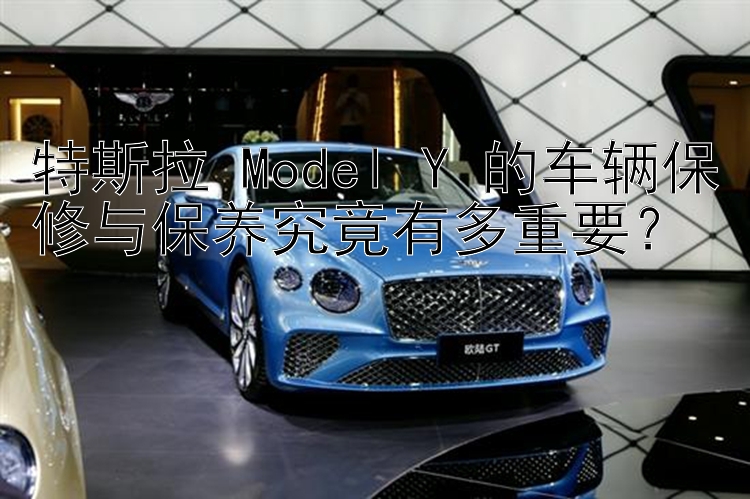 特斯拉 Model Y 的车辆保修与保养究竟有多重要？